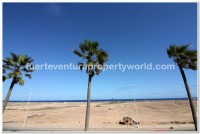 Parque Holandes, Fuerteventura - Thumbnail 10